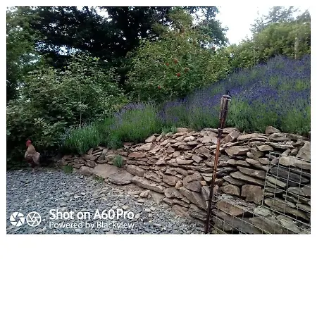 Διαμέρισμα Escapade En Ardennes *